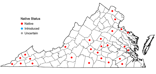 Locations ofCarex kraliana Naczi & Bryson in Virginia