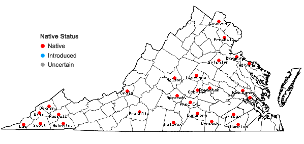 Locations ofCarex kraliana Naczi & Bryson in Virginia