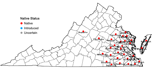 Locations ofCarex lonchocarpa Willd. ex Sprengel in Virginia