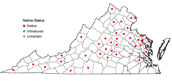 Locations ofCarex mesochorea Mackenzie in Virginia