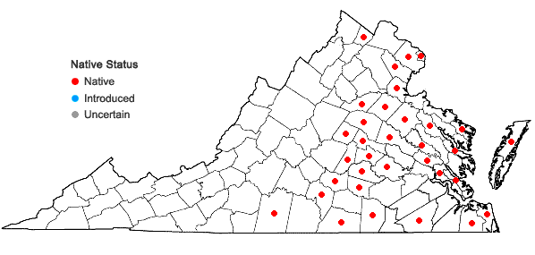 Locations ofCarex stipata Muhl. ex Willd. var. maxima Chapman ex Boott in Virginia