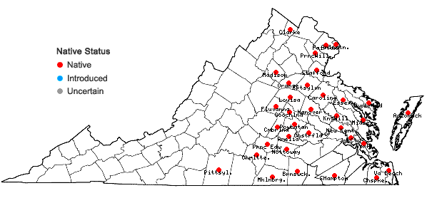 Locations ofCarex stipata Muhl. ex Willd. var. maxima Chapman ex Boott in Virginia