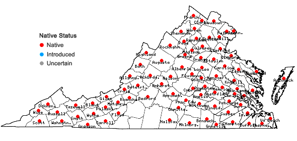 Locations ofCarex stipata Muhl. ex Willd. var. stipata in Virginia