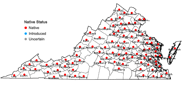 Locations ofCarex swanii (Fernald) Mackenzie in Virginia