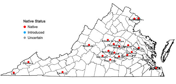 Locations ofCarex texensis (Torr.) Bailey in Virginia