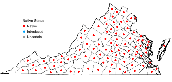Locations ofCarex tribuloides Wahlenb. var. tribuloides in Virginia