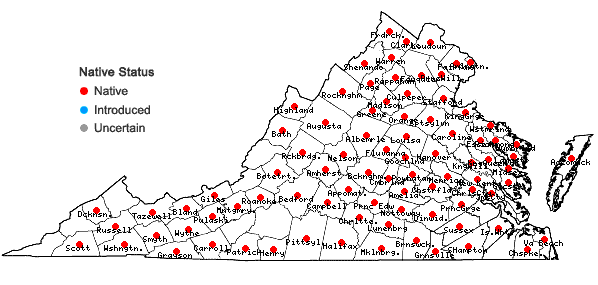 Locations ofCarex tribuloides Wahlenb. var. tribuloides in Virginia