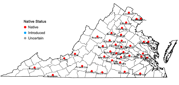 Locations ofCarex umbellata Schk. ex Willd. in Virginia