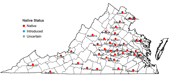 Locations ofCarex umbellata Schk. ex Willd. in Virginia