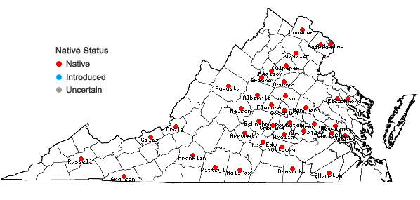 Locations ofCarex umbellata Schk. ex Willd. in Virginia