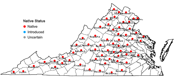 Locations ofCarex willdenowii Schk. ex Willd. in Virginia
