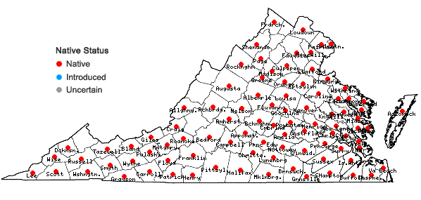 Locations ofCastanea pumila (Linnaeus) P. Miller in Virginia