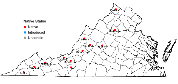Locations ofCaulophyllum giganteum (Farw.) Loconte & Blackwell in Virginia
