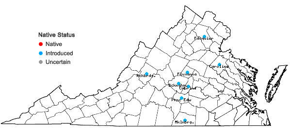 Locations ofCenchrus americanus (L.) Morrone in Virginia