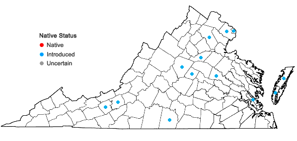 Locations ofCenchrus purpurascens Thunb. in Virginia