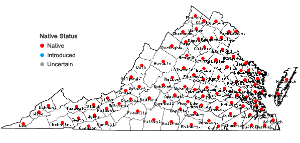 Locations ofCephalanthus occidentalis L. in Virginia