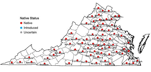 Locations ofChaerophyllum procumbens (L.) Crantz var. procumbens in Virginia