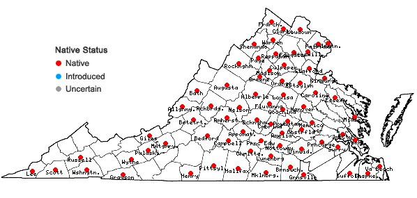 Locations ofChaerophyllum procumbens (L.) Crantz var. procumbens in Virginia