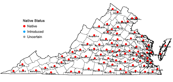 Locations ofChaerophyllum tainturieri Hook. in Virginia