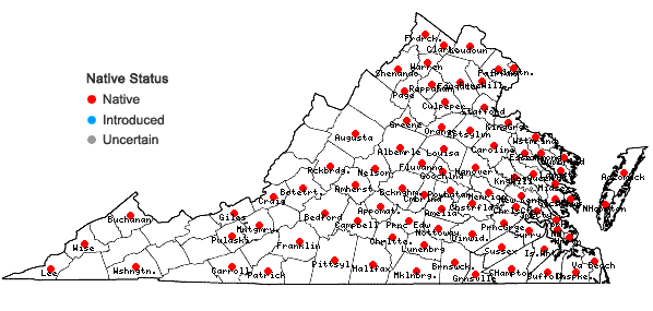 Locations ofChamaecrista fasciculata (Michx.) Greene var. fasciculata in Virginia