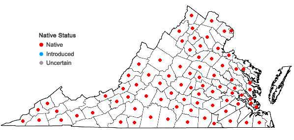 Locations ofChasmanthium latifolium (Michx.) Yates in Virginia