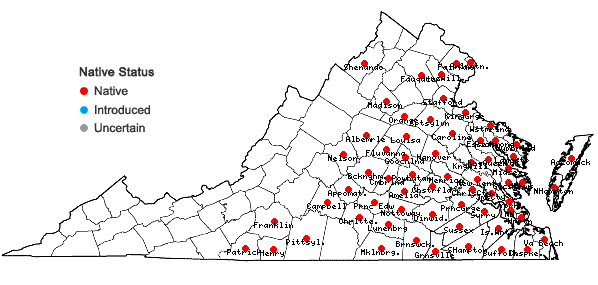 Locations ofChasmanthium laxum (L.) Yates in Virginia