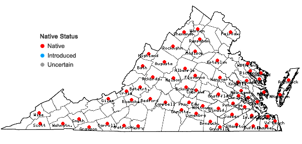 Locations ofCheilolejeunea clypeata (Schwein.) W. Ye & R. L. Zhu in Virginia