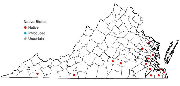 Locations ofCheilolejeunea conchifolia (A. Evans) W. Ye & R.L. Zhu in Virginia