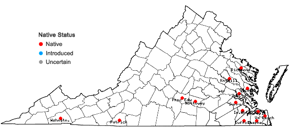 Locations ofCheilolejeunea conchifolia (A. Evans) W. Ye & R.L. Zhu in Virginia