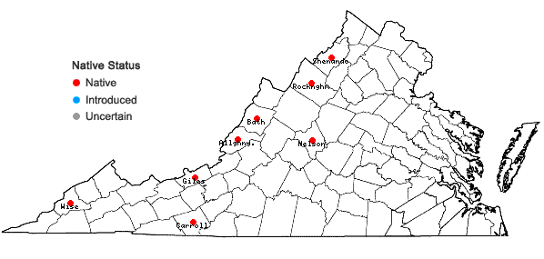 Locations ofChenopodium foggii Wahl in Virginia