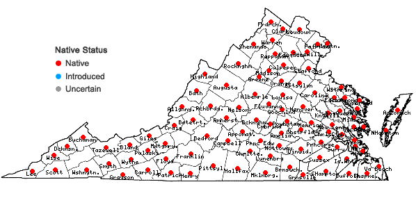 Locations ofCinna arundinacea L. in Virginia