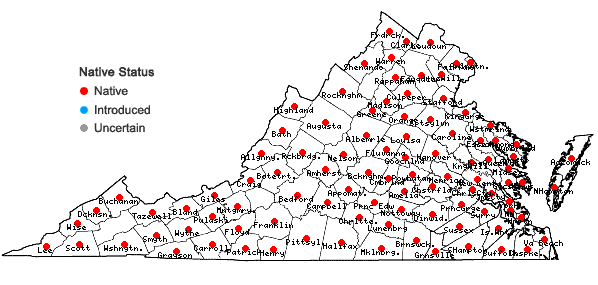 Locations ofCinna arundinacea L. in Virginia