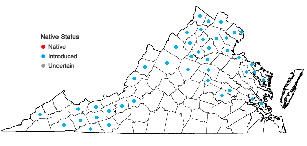 Locations ofCirsium arvense (L.) Scop. in Virginia