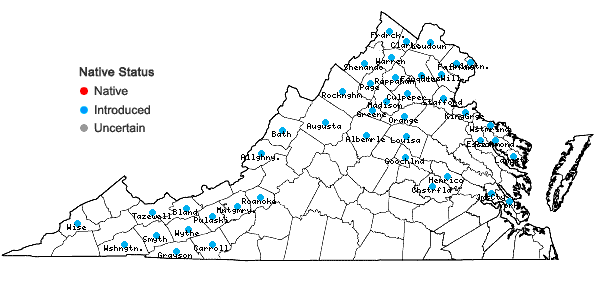 Locations ofCirsium arvense (L.) Scop. in Virginia
