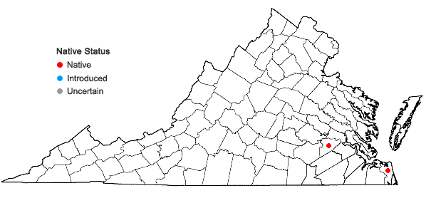 Locations ofColeataenia longifolia (Torrey) Soreng ssp. combsii (Scribner & C.R. Ball) Soreng in Virginia