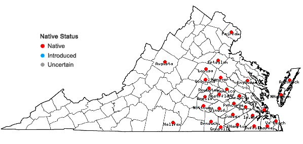 Locations ofColeataenia longifolia (Torrey) Soreng ssp. longifolia in Virginia