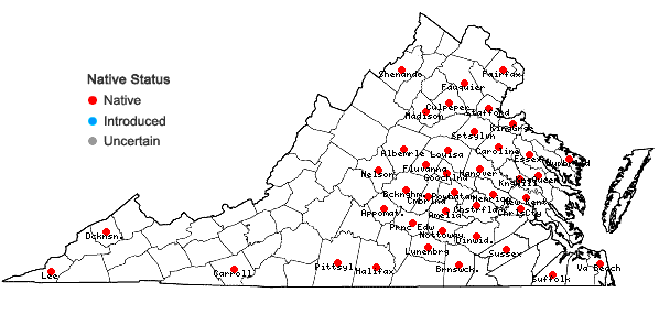 Locations ofColeataenia pulchra (F. Dietrich) Mabberley & LeBlond in Virginia