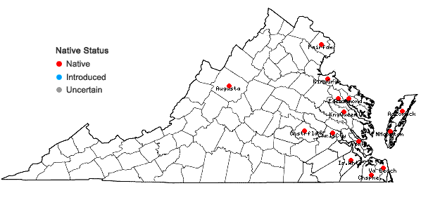 Locations ofColeataenia rigidula (Bosc ex Nees) LeBlond ssp. condensa (Nash) LeBlond in Virginia