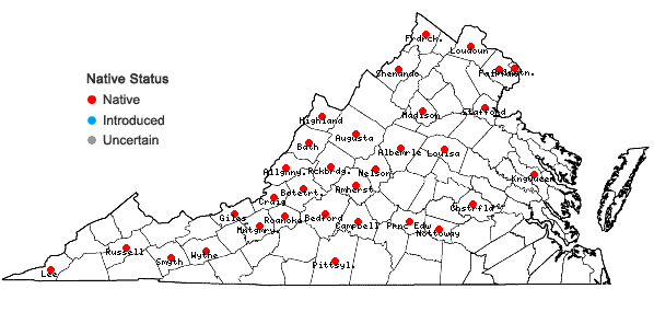 Locations ofCrataegus intricata Lange var. intricata in Virginia