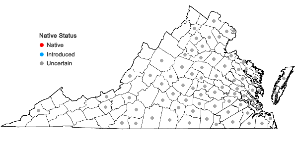 Locations ofCroton glandulosus L. var. septentrionalis Muell.-Arg. in Virginia
