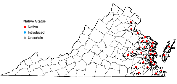 Locations ofCyperus filicinus Vahl in Virginia