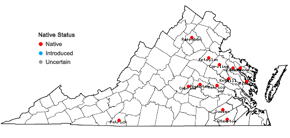 Locations ofCyperus hystricinus Fernald in Virginia