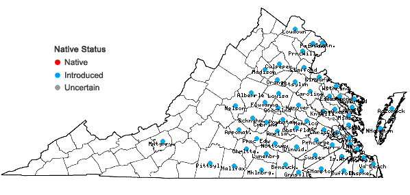 Locations ofCyperus iria L. in Virginia