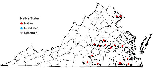 Locations ofCyperus subsquarrosus (Muhl.) Bauters in Virginia