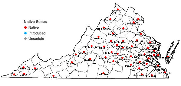 Locations ofDesmodium obtusum (Muhl. ex Willd.) DC. in Virginia
