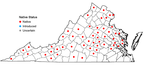 Locations ofDesmodium perplexum Schub. in Virginia