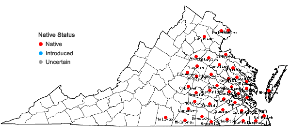 Locations ofDichanthelium aciculare (Desv. ex Poir.) Gould & C.A. Clark in Virginia