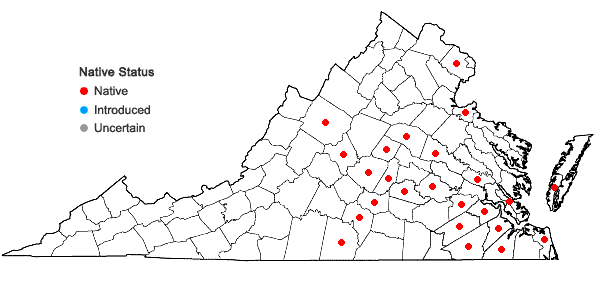 Locations ofDichanthelium angustifolium (Ell.) Gould in Virginia