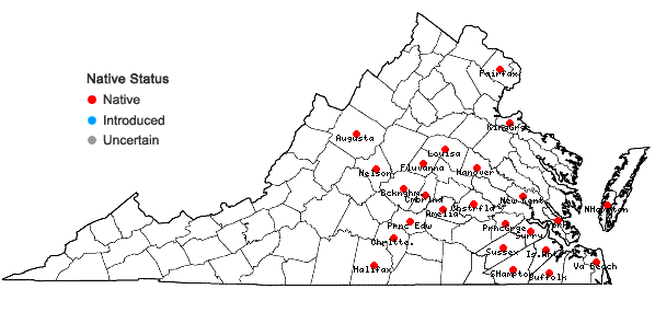 Locations ofDichanthelium angustifolium (Ell.) Gould in Virginia