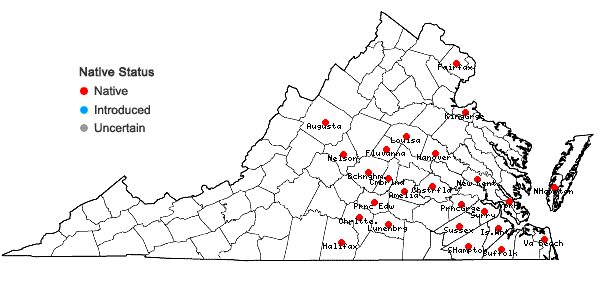 Locations ofDichanthelium angustifolium (Ell.) Gould in Virginia
